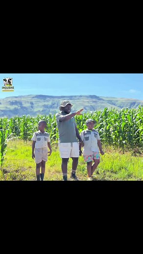 Lack of Subsistence Farming is the biggest threat to food security! It is of importance that we teach our about the importance of Agriculture and farming! 👩🏾‍🌾👩🏾‍🌾🇿🇦🇿🇦🇿🇦🇿🇦 #ingubhefarming #ingubhekids #youngandfarming👩‍🌾❤️ #youngandagriculture