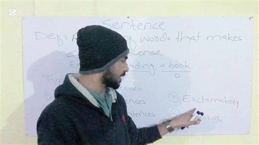 Understanding Sentences and Their Types