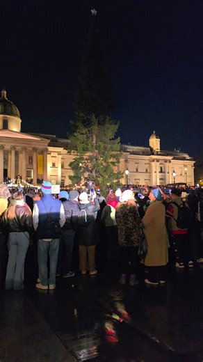 Christmas Tree in Trafalgar Square London #christmastree | British Tradition
