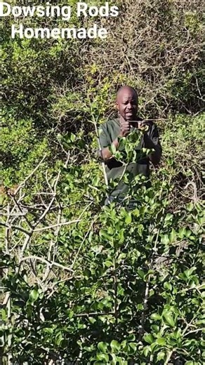 Gold Hunter Smart target confirmation with Homemade Dowsing Rods