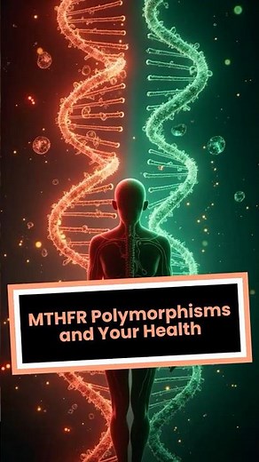 MTHFR polymorphisms and your health