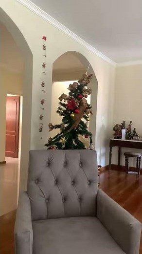 Cat Climbing Christmas Tree Pulls it Over || ViralHog