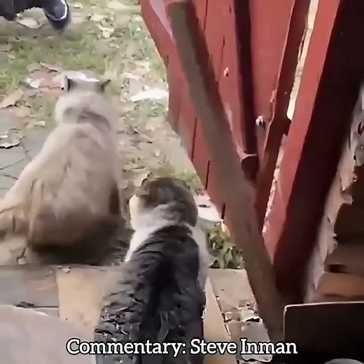 No time for smalltalk