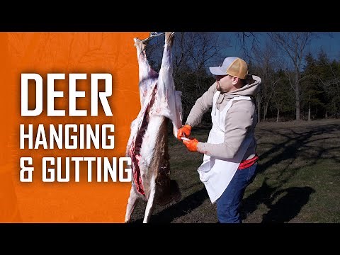 Pro Techniques for Deer Hanging and Gutting