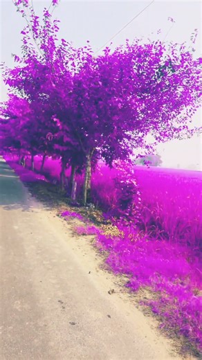 Purple land tutorial #trending