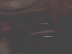 The Backyardigans Live w/ Allyson