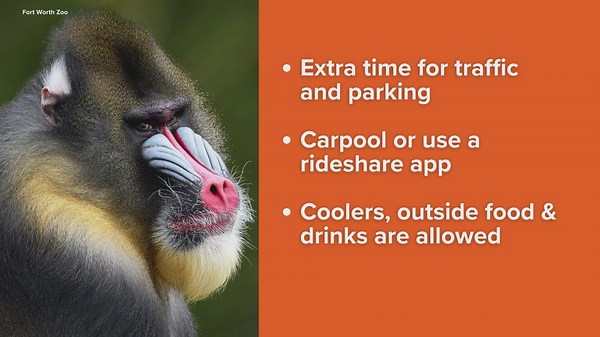 What to know ahead of Half-Price Wednesday at the Fort Worth Zoo
