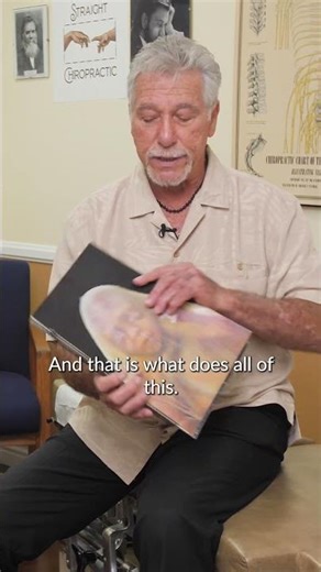 Blair Upper Cervical: Unlock Your Body’s Innate Intelligence