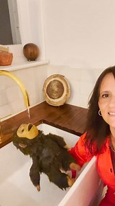 🎼🎼🎹going to New York POSTPONED TILL JANUARY | Nina Conti