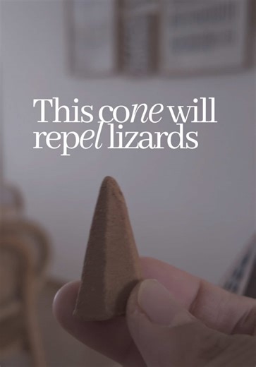 Keep Lizards Away with Bukhoor Cones