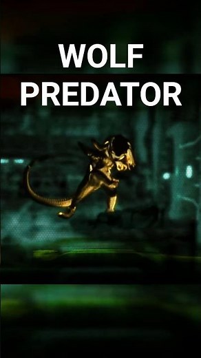 When the Wolf Predator appears, everyone trembles. #predator #alienvspredator #yautja