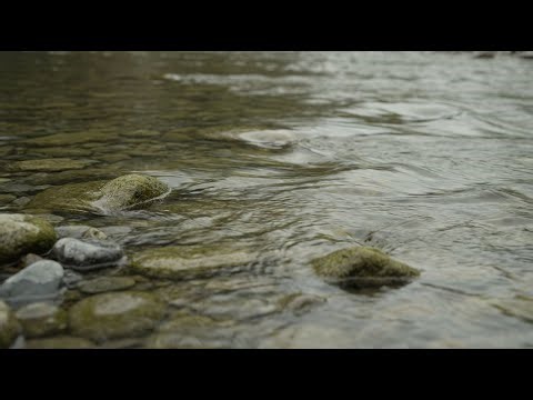 Endless Stream Flow 🌊 | Healing Ambient Music for Deep Calm & Relaxation
