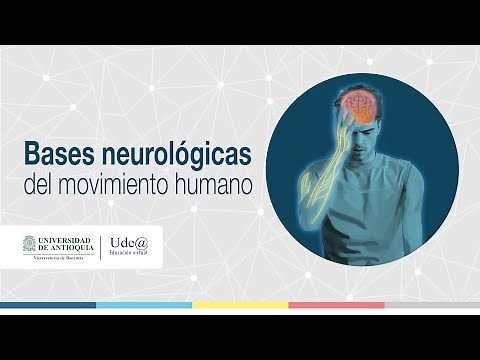Bienvenida: Bases neurológicas del movimiento humano