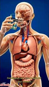 Why #Constipation #Makes You #Feel So #Tired 😫