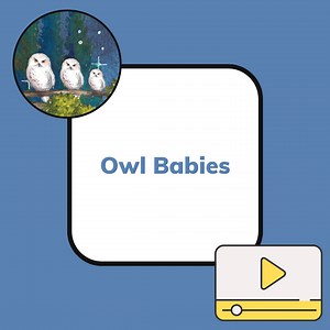 Owl Babies - Literacy Shed