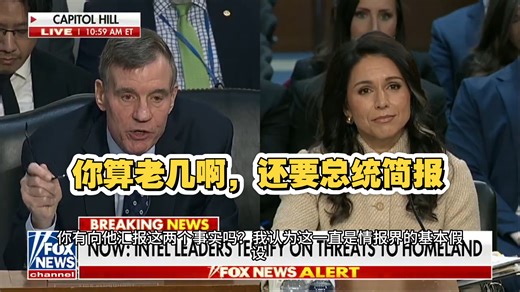 图尔西回击民主党参议员马克·沃纳的要求，沃纳要求她披露与特朗普总统的私人简报。