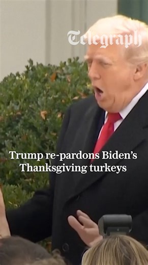 🦃 Donald Trump re-pardoned two turkeys whom he claimed were illegitimately freed by Joe Biden last Thanksgiving, saying the former president used an autopen to sign off on their release Find out more ⬇️ https://www.telegraph.co.uk/us/news/2025/11/25/donald-trump-pardons-turkeys-granted-under-joe-biden/ | The Telegraph
