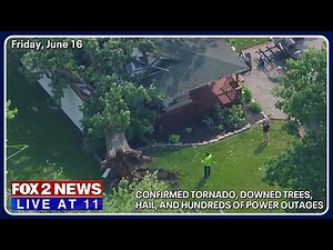 FOX 2 News Live at 11 | June 16