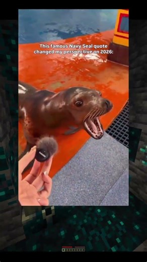 Inspirational Navy Seal Quote #memes #funny #humor