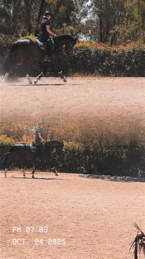 Andrew Buckley on Reels