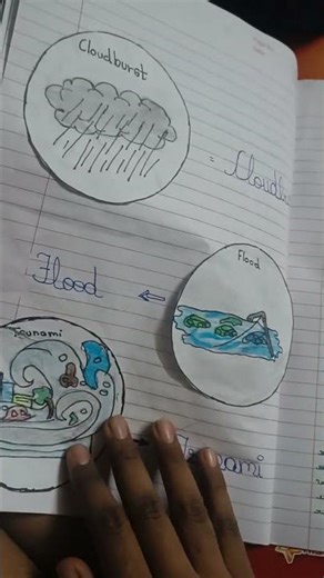 DISASTER MANAGEMENT PROJECT #science #Project