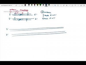 Upstream/Downstream Naming