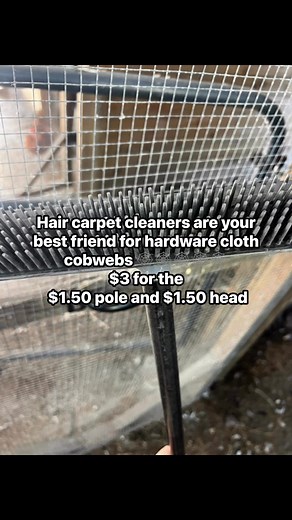 #dollartree #hardwarecloth #chickencoop #fall #cobwebs #molting | Mandala Garden Farms