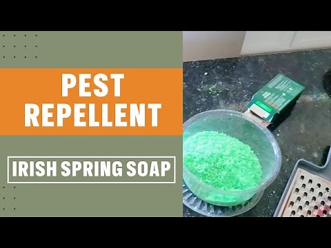 Using Irish Spring Soap as Pest Repellent | Easy Simple DIY Life Hack | Home and Garden Pest Control