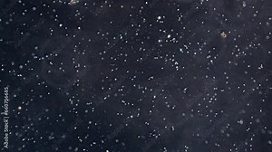 Microscope focuses to show sperm cells swimming.