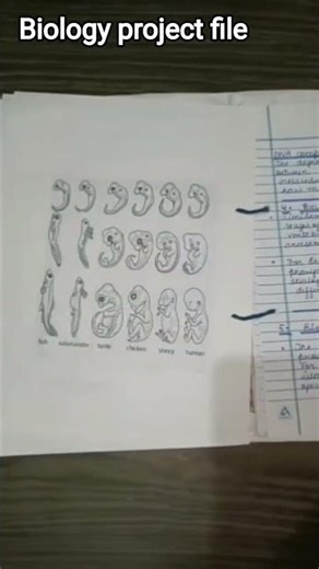 Biology project file class 12th #project