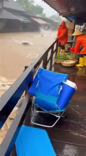 Flooded Market Bridge Overrun by Giant Fish in Wild Phone Footage