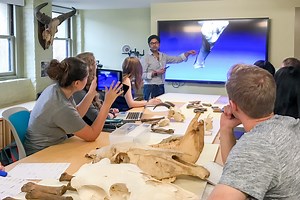 3-D images of artifacts enrich experience for students, faculty