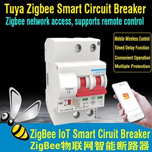 [Hot Item] Zjsb9-125z Zigbee/WiFi Tuya Remote Control IoT Smart Circuit Breaker