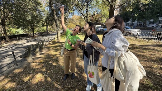 Volunteers lend a hand counting trees in city parks