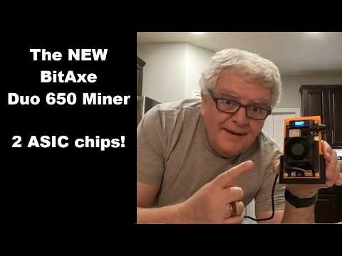 BitAxe Dual ASIC Miner (new Duo 650)