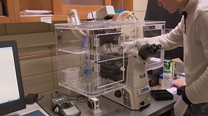 Imaging Integrin Tension and Cellular Force at Submicron Resolution with an Integrative Tension Sensor