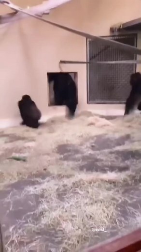 Fit Now Official on TikTok