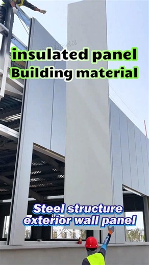 Insulated panel for steel structure