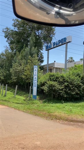 What Happened to the Paper Industry?