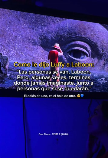 La emotiva conexión entre Luffy y Laboon en One Piece