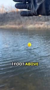 Fishing for Trout with Powerbait! Have you tried this? Gear Used: KastKing Kestrel Casting and SFS Spinning Reel KastKing Kestrel and Royale Advantage Rod 📹@Hunterdubs.fwtx #fish #rainbowtrout #powerbait #KastKing #fishingvideos #troutfishing #fishinglife | KastKing