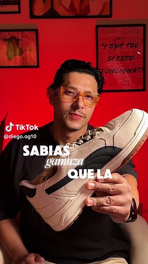 Ventajas y Desventajas de las Zapatillas de Gamuza