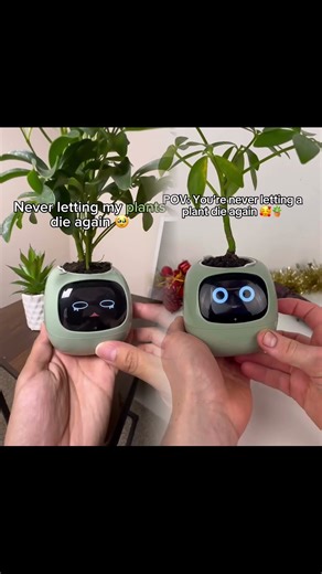 They’re alive, take care of them #plantlover #planttok #snakeplant