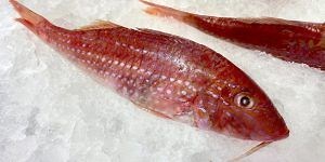 Seven Reasons Converting COBOL to Java to Save Cash Is a Red Herring