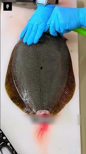 Ikejime: The Japanese Fish-Processing Technique.