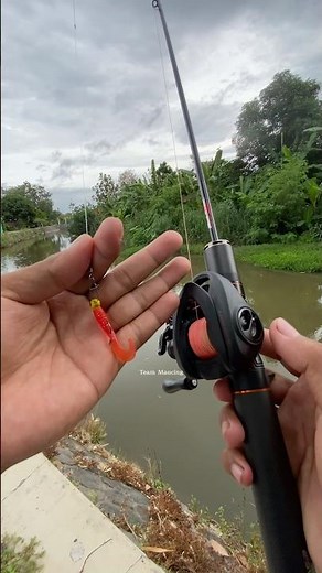 Tes lempar umpan kecil ringan dengan Kastking Valiant Eagle 2 #kastking #valianteagle2 #bfsfishing