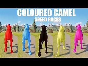 Colored Camel Races in Planet Zoo in 4K UHD included Bactrian Camel