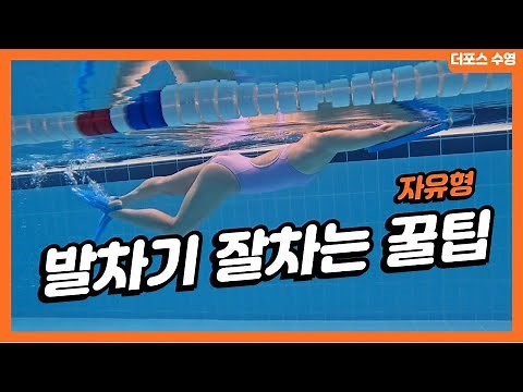 [자유형 기초/중급/상급] 자유형 발차기 잘차는 꿀팁! (free style kick)