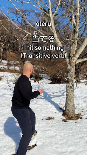 Understanding Transitive and Intransitive Verbs in Japanese