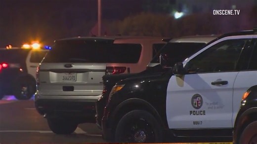 Lawsuit accuses LAPD of unconstitutional traffic stops